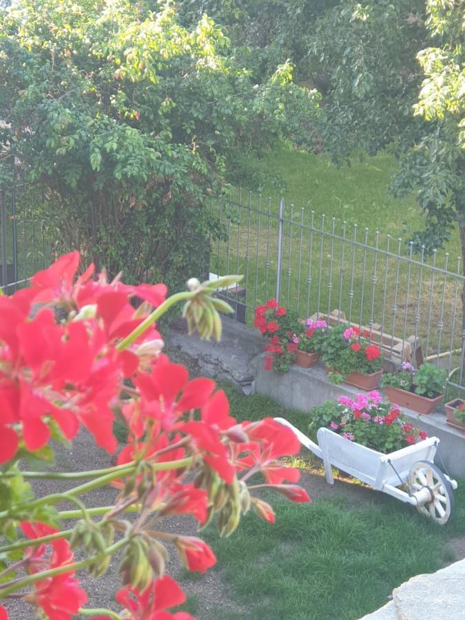 Antica Casa Occitana Bed & Breakfast Sampeire Luaran gambar